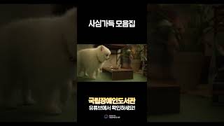 #shorts  #국립장애인도서관 #장애인도서관 #청각장애인보조견 #안내견