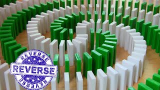 (Reverse Order)-INSANE Domino Tricks! (Hevesh5 & MillionenDollarBoy)