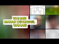 Viral Wahabi Marah Dipanggil Wahabi | safrizal23a