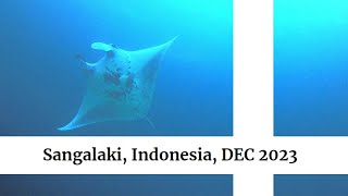 Diving in Sangalaki, Indonesia DEC 2023 / GoPro Hero 9 4K