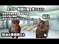 【猫ミーム】看護赤猫 看護学生編【猫マニ】