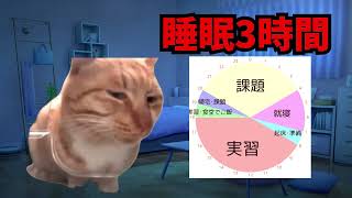 【猫ミーム】看護赤猫 看護学生編【猫マニ】