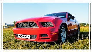 Табун мечты🔥 обзор FORD MUSTANG 2013