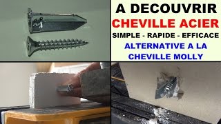 cheville acier à clouer sans perçage une alternative à la cheville molly