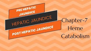 Heme catabolism || Part-2 || Biochemistry || Jaundice || Type || Cause || B.Sc. Nursing