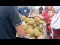 mulai banyak duren nih ges monggo pecinta duren merapat infopasar