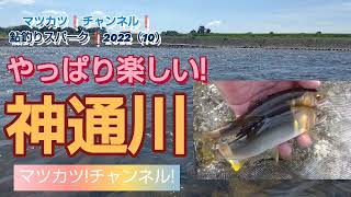 やっぱり!楽しい🎶神通川。鮎釣り!スパーク2022（10）