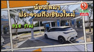 พาน้องโลมาเดินทางจากประจวบ ถีงเชียงใหม่ 918 กม