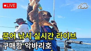 문어낚시 실시간 라이브 구매항 악바리호2부