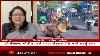 Citizens troubled over menace of stray cattle in Vadodara; VMC, RTO, cops inactive!