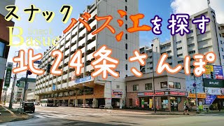 スナックバス江を探しつつ散歩する北24条