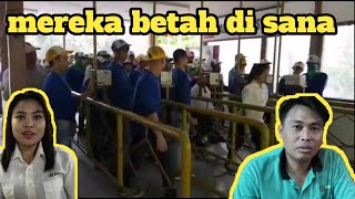 CERITA PEKERJA KILANG PLYWOOD DI SARAWAK  YANG BERTAHAN DI SANA