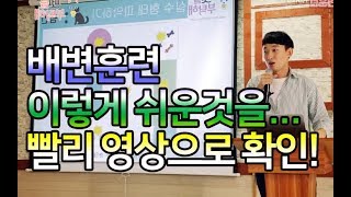 [강아지 훈련] 배변훈련 part.2 / 배변교육 / 강아지 교육 l 펫을부탁해