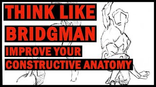 Constructive Anatomy Bridgman Style - Draw from imagination by understanding his thought process