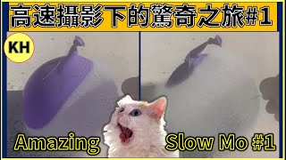 高速攝影下的驚奇之旅#1 Amazing Slow Motion #1