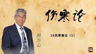 郝万山讲《伤寒论》16伤寒兼证（1）