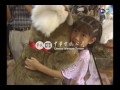 【歷史上的今天】1999.08.14_無尾熊亮相木柵動物園萬人爭賭