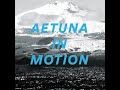 aetuna