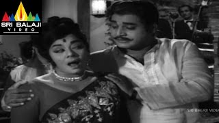 Jeevitha Chakram Movie NTR Action Scene in Pub | NTR, Vanisri, Sharada | Sri Balaji Video