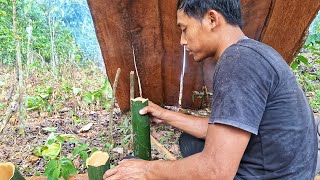 Sebelum Pulang Ke Kebun Lama, Aku Masak lemang Bakar Di Kebun, Sambil Kerja