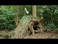 Build a secret survival shelter inside a strange fallen tree, egg sandwich. Bushcraft Camping