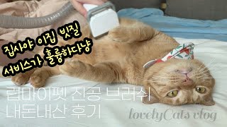 럽마이펫 홈쇼핑 고양이 털관리 애견진공미용기 언박싱 한달 찐사용기🐱 #내돈내산 #대박필템 #예민냥적응기 #호구집사