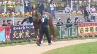 レッドクラウディア　in 京都競馬場　at 2013.11.3.