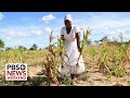 Extreme drought plunges millions in southern Africa into hunger crisis