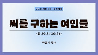 2024.8.18. 충실교회 주일예배 전체 영상 | 씨를 구하는 여인들 (창29:31-30:24) | 박상기 목사