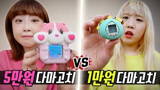 5만원 다마고치 vs 1만원 다마고치..! 과연 어떤게 더 좋을까?! [예씨 yessii]