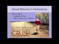 Ch 12.5 Human Sexuality Adolescence