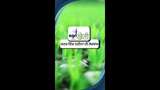 ਕਣਕ ਵਿੱਚ ਨਦੀਨਾਂ ਦੀ ਰੋਕਥਾਮ! Weed Control in Wheat #agriculture #weedsinwheat #wheat #farming