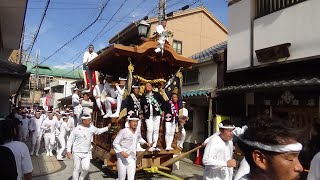 令和5年　南町だんじり祭り