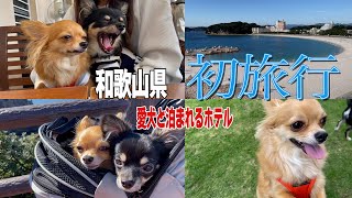 【初旅行で絆が深まる】犬の楽園　白浜の犬御殿に行ってきた！