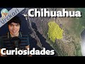 El estado Más GRANDE de México / CHIHUAHUA 33 Curiosidades que No Sabías #urckari