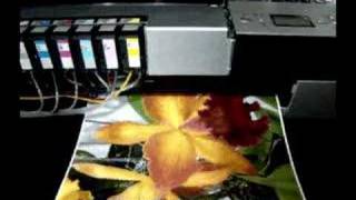 InkRepublic 3800 CIS in action