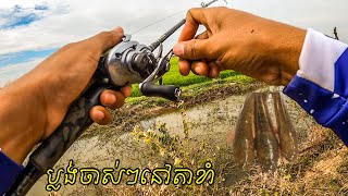 លេងប្លង់ចាស់ៗតាមប្រលាយត្រីនៅតាខាំ#Vibolfishing#SnakeheadFlyFishing#Besthook