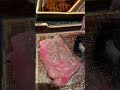 燒肉❤️❤️碳佐🤤🤤 高雄美食 燒肉 碳佐 牛肉 shorts