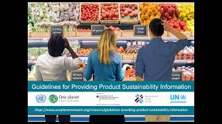 Webinar: Guidelines for Providing Product Sustainability Information