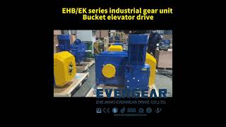 EHB/EK series industrial helical bevel gear unit gearbox for Bucket elevator drive EVERGEAR drive