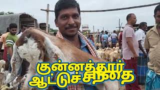 #goat #குன்னத்தூர் #kunnathurgoatmarket குன்னத்தூர் ஆட்டுச் சந்தை ஆட்டுக்குட்டி விலை நிலவரம்