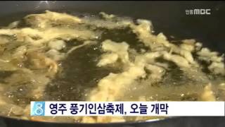 [안동MBC뉴스]풍기인삼축제 오늘 개막