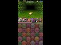 パズドラ　風の龍騎姫　地獄級　sランク　光アヌビス　闇ヨミ