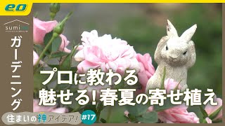 【春夏ガーデニング】おしゃれに見える寄せ植えテクニック【住まいの神アイデア！】｜sumica ～アイデアでつくる、自分らしい家～