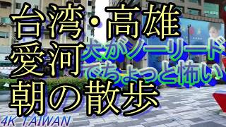 【臺灣観光】taiwan/台湾・高雄散策・公園の犬がたくましすぎて怖い・高雄観光・臺灣自駕遊・假期・台湾旅行