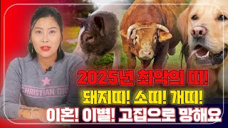 2025년 새해 최악의 띠! 공개 합니다! 삼재! 이혼! 이별! 결국 고집 때문에 망합니다![예약: 010.2938.7078]