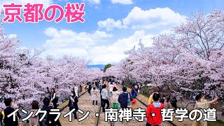 【蹴上インクラインの桜】蹴上インクライン・南禅寺・哲学の道の桜ってどんな感じ？ Kyoto,Cherry blossom