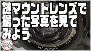 【写真自己添削】謎マウントレンズで撮った写真を見てみよう