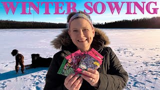 Seeds in Winter! Alaska Homestead Seed haul and ready to start our 2025 garden season