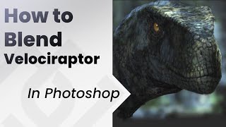 How to blend colors in photoshop _Velociraptor